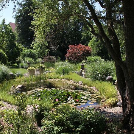 Fewo - Wohlfuehlambiente & Gartenparadies Modautal Eksteriør bilde